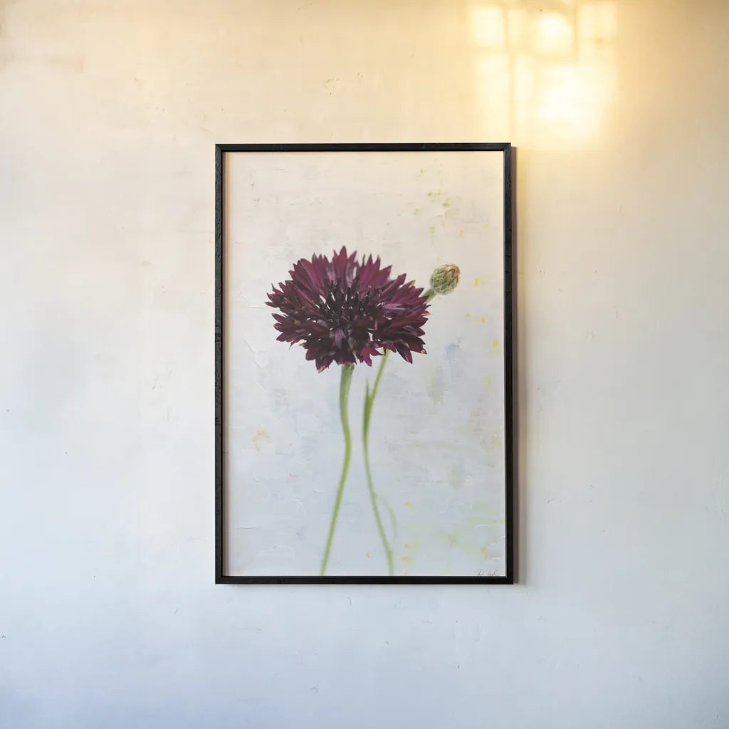 Wonderful Wildflowers VIII by Deborah Revell. shown as a paper print in a black flame. Available as a archival giclee rolled canvas, fine art paper, or poster print. SKU 93935h.