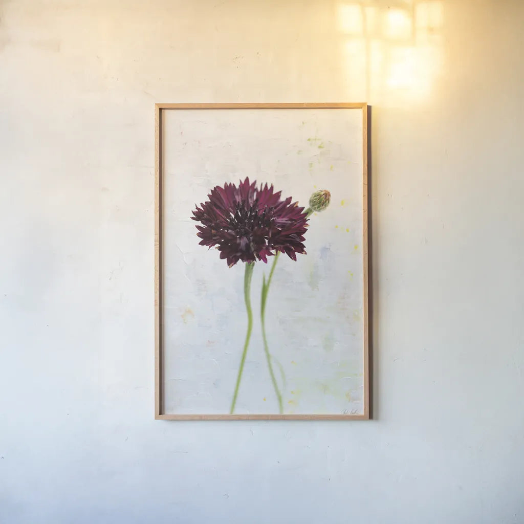 Wonderful Wildflowers VIII by Deborah Revell. shown as a paper print in a natural frame. Available as a archival giclee rolled canvas, fine art paper, or poster print. SKU 93935h.