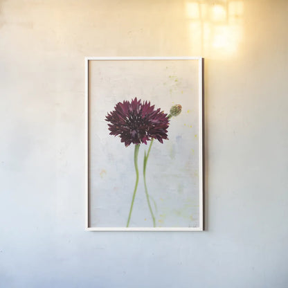 Wonderful Wildflowers VIII by Deborah Revell. shown as a paper print in a white frame. Available as a archival giclee rolled canvas, fine art paper, or poster print. SKU 93935h.