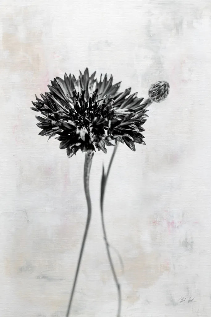 Wonderful Wildflowers VIII Neutral by Deborah Revell. SKU 93952h. Archival Giclee Fine art print for wall decor.