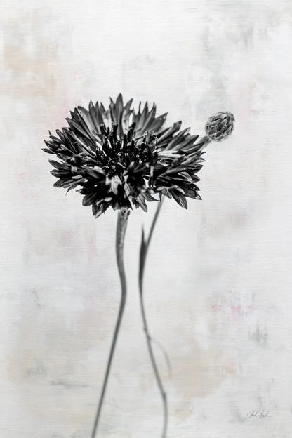 Wonderful Wildflowers VIII Neutral by Deborah Revell. SKU 93952h. Archival Giclee Fine art print for wall decor.