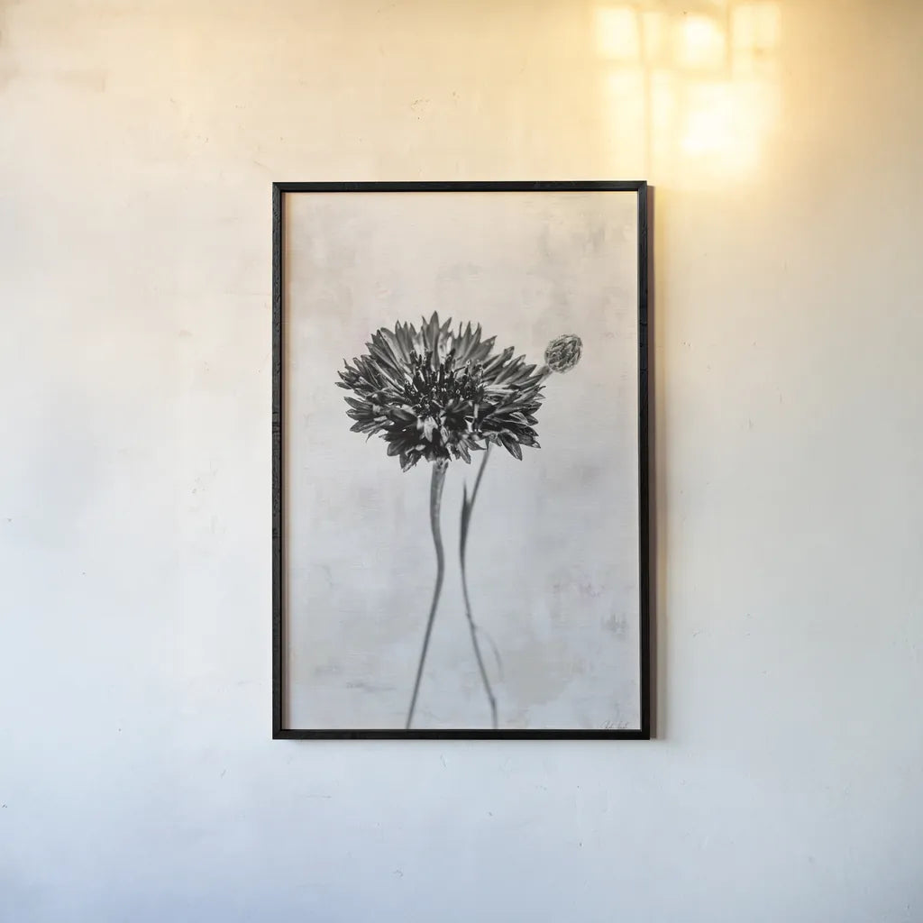 Wonderful Wildflowers VIII Neutral by Deborah Revell. shown as a paper print in a black flame. Available as a archival giclee rolled canvas, fine art paper, or poster print. SKU 93952h.