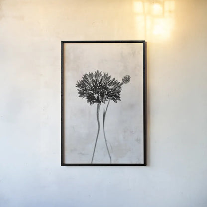 Wonderful Wildflowers VIII Neutral by Deborah Revell. shown as a paper print in a black flame. Available as a archival giclee rolled canvas, fine art paper, or poster print. SKU 93952h.