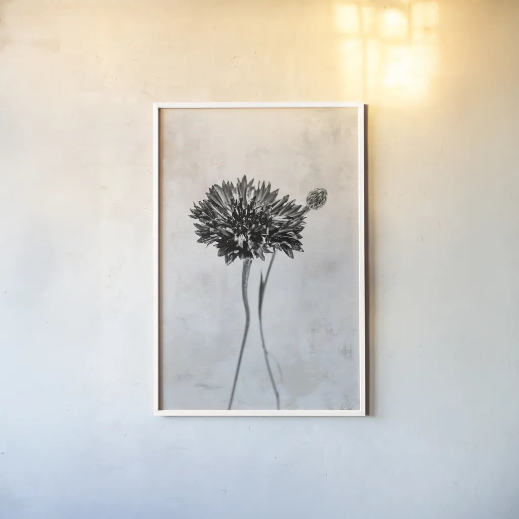 Wonderful Wildflowers VIII Neutral by Deborah Revell. shown as a paper print in a white frame. Available as a archival giclee rolled canvas, fine art paper, or poster print. SKU 93952h.
