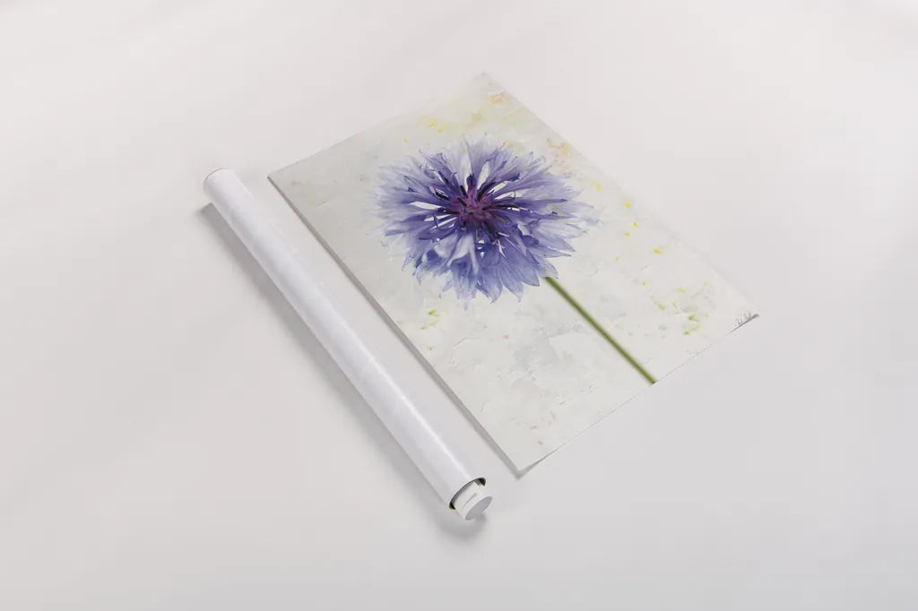 Wonderful Wildflowers X by Deborah Revell. shown as a rolled paper print. Available as archival giclee rolled canvas, fine art paper, or poster print. SKU 93937h.