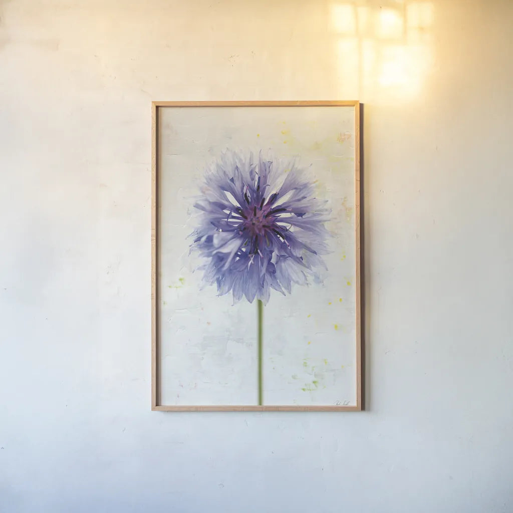 Wonderful Wildflowers X by Deborah Revell. shown as a paper print in a natural frame. Available as a archival giclee rolled canvas, fine art paper, or poster print. SKU 93937h.