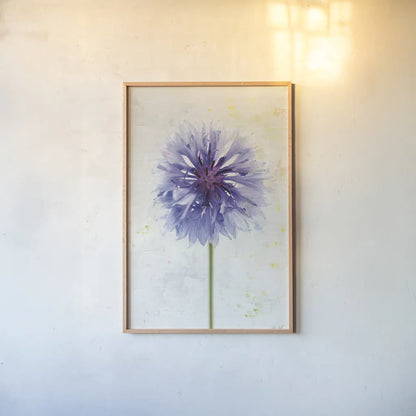 Wonderful Wildflowers X by Deborah Revell. shown as a paper print in a natural frame. Available as a archival giclee rolled canvas, fine art paper, or poster print. SKU 93937h.