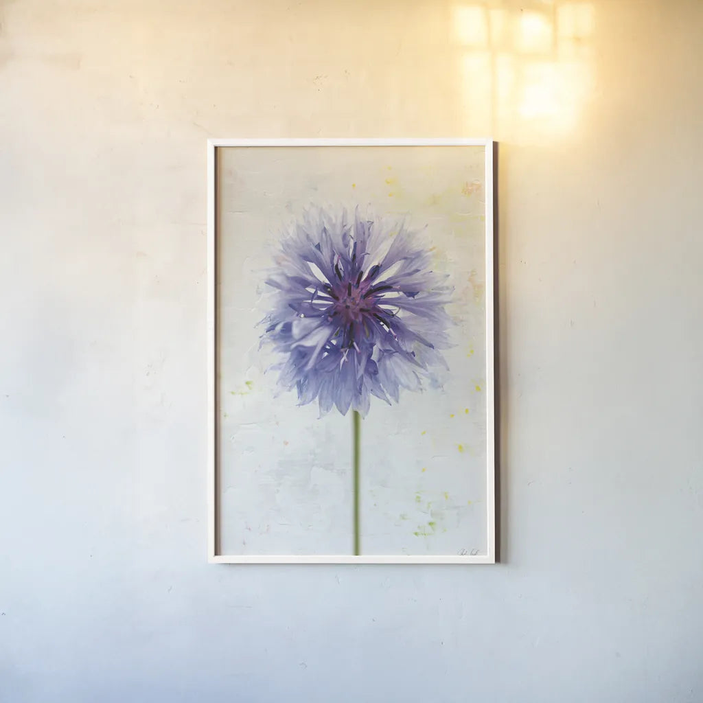 Wonderful Wildflowers X by Deborah Revell. shown as a paper print in a white frame. Available as a archival giclee rolled canvas, fine art paper, or poster print. SKU 93937h.