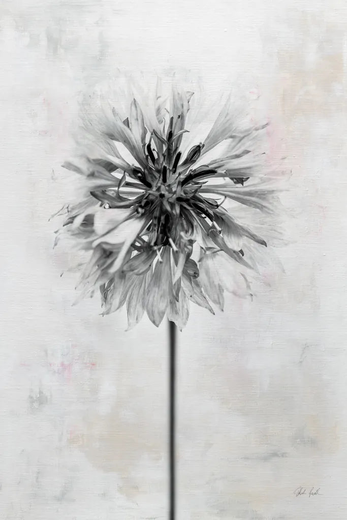 Wonderful Wildflowers X Neutral by Deborah Revell. SKU 93954h. Archival Giclee Fine art print for wall decor.