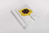 Wonderful Wildflowers XI by Deborah Revell. shown as a rolled paper print. Available as archival giclee rolled canvas, fine art paper, or poster print. SKU 93938h.