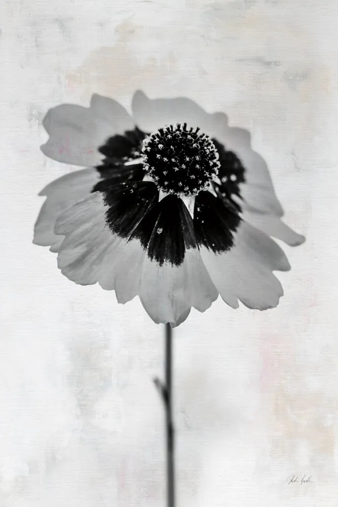 Wonderful Wildflowers XI Neutral by Deborah Revell. SKU 93955h. Archival Giclee Fine art print for wall decor.