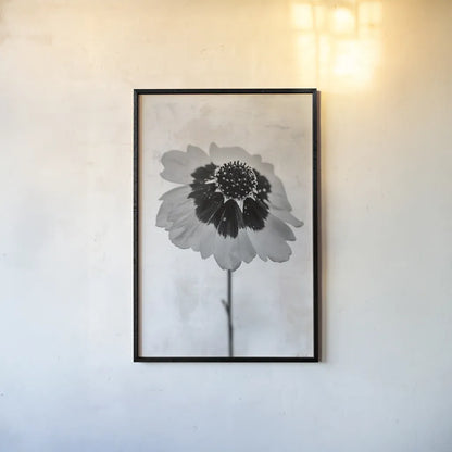 Wonderful Wildflowers XI Neutral by Deborah Revell. shown as a paper print in a black flame. Available as a archival giclee rolled canvas, fine art paper, or poster print. SKU 93955h.