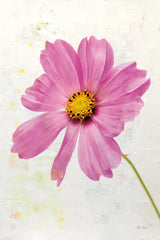 Wonderful Wildflowers XII by Deborah Revell. SKU 93939h. Archival Giclee Fine art print for wall decor.