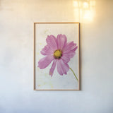 Wonderful Wildflowers XII by Deborah Revell. shown as a paper print in a natural frame. Available as a archival giclee rolled canvas, fine art paper, or poster print. SKU 93939h.