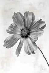 Wonderful Wildflowers XII Neutral by Deborah Revell. SKU 93956h. Archival Giclee Fine art print for wall decor.