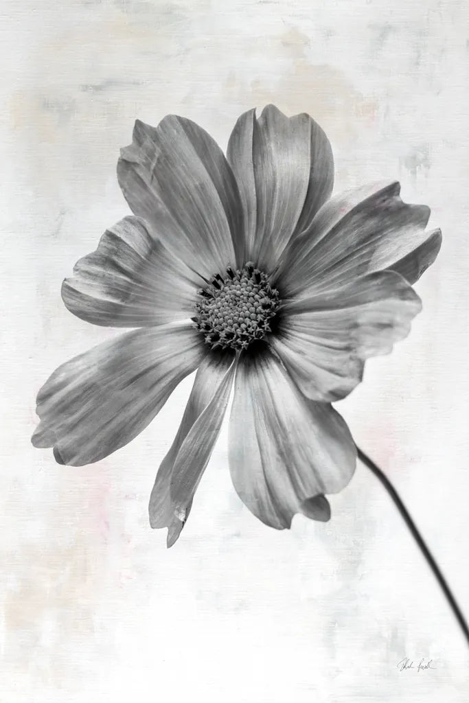 Wonderful Wildflowers XII Neutral by Deborah Revell. SKU 93956h. Archival Giclee Fine art print for wall decor.