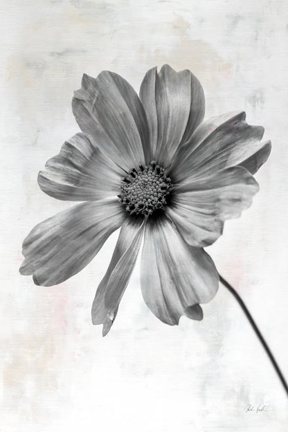 Wonderful Wildflowers XII Neutral by Deborah Revell. SKU 93956h. Archival Giclee Fine art print for wall decor.