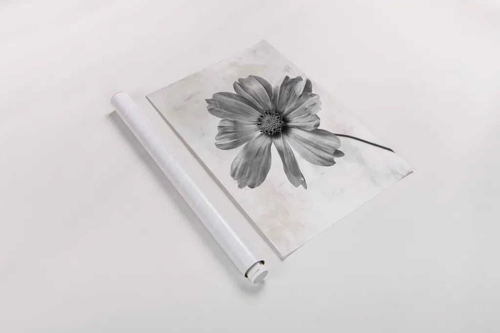 Wonderful Wildflowers XII Neutral by Deborah Revell. shown as a rolled paper print. Available as archival giclee rolled canvas, fine art paper, or poster print. SKU 93956h.