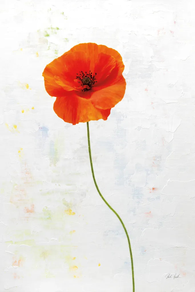 Wonderful Wildflowers XIII by Deborah Revell. SKU 93940h. Archival Giclee Fine art print for wall decor.
