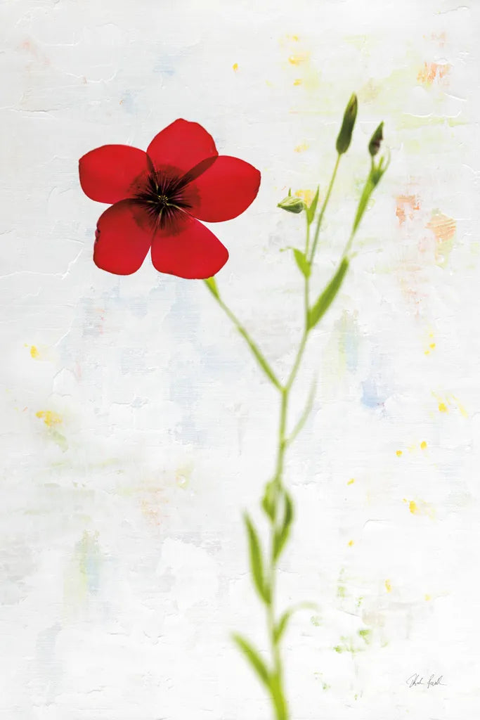 Wonderful Wildflowers XIV by Deborah Revell. SKU 93941h. Archival Giclee Fine art print for wall decor.