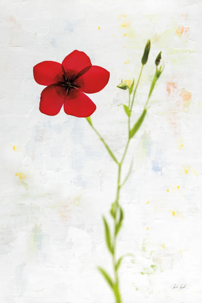 Wonderful Wildflowers XIV by Deborah Revell. SKU 93941h. Archival Giclee Fine art print for wall decor.