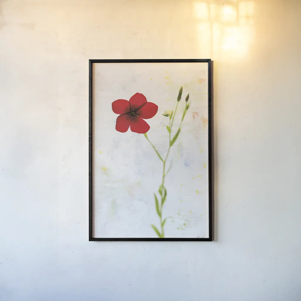 Wonderful Wildflowers XIV by Deborah Revell. shown as a paper print in a black flame. Available as a archival giclee rolled canvas, fine art paper, or poster print. SKU 93941h.