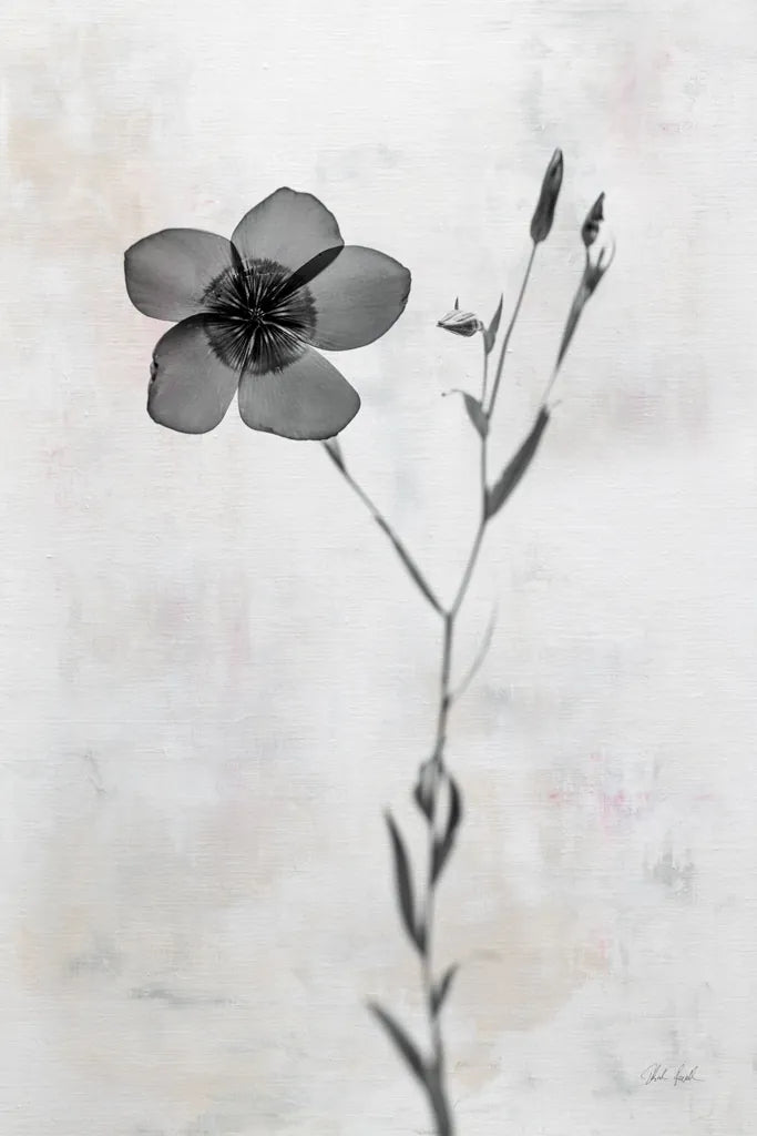 Wonderful Wildflowers XIV Neutral by Deborah Revell. SKU 93958h. Archival Giclee Fine art print for wall decor.