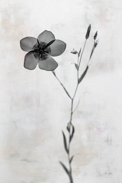 Wonderful Wildflowers XIV Neutral by Deborah Revell. SKU 93958h. Archival Giclee Fine art print for wall decor.