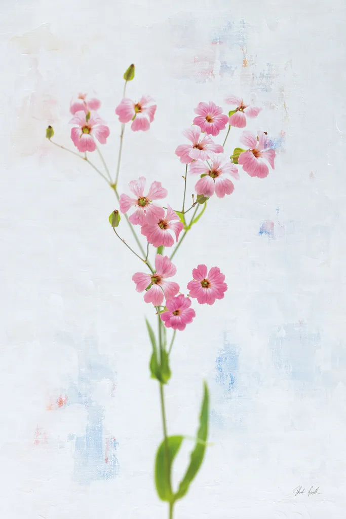 Wonderful Wildflowers XV by Deborah Revell. SKU 93942h. Archival Giclee Fine art print for wall decor.