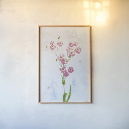 Wonderful Wildflowers XV by Deborah Revell. shown as a paper print in a natural frame. Available as a archival giclee rolled canvas, fine art paper, or poster print. SKU 93942h.