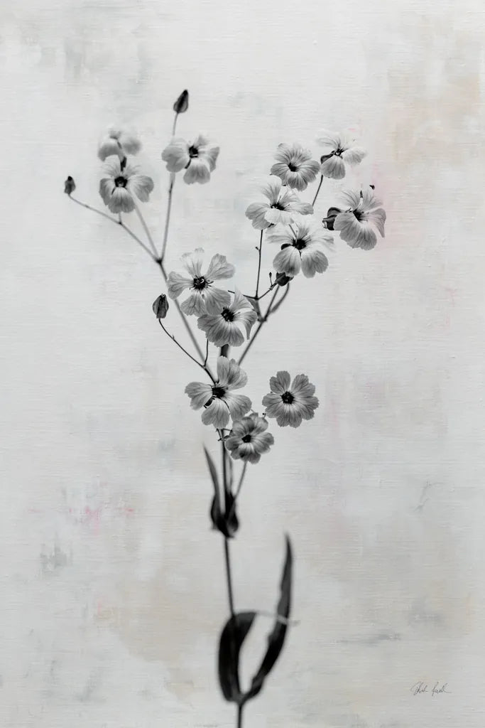 Wonderful Wildflowers XV Neutral by Deborah Revell. SKU 93959h. Archival Giclee Fine art print for wall decor.