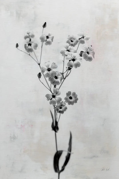Wonderful Wildflowers XV Neutral by Deborah Revell. SKU 93959h. Archival Giclee Fine art print for wall decor.