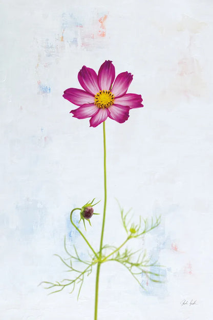 Wonderful Wildflowers XVI by Deborah Revell. SKU 93943h. Archival Giclee Fine art print for wall decor.