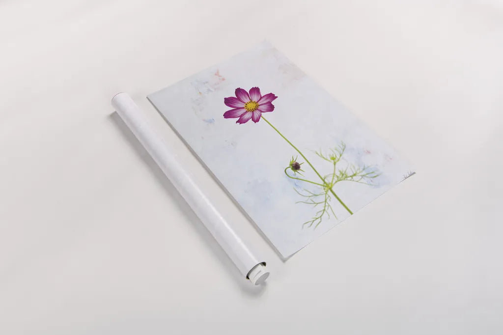 Wonderful Wildflowers XVI by Deborah Revell. shown as a rolled paper print. Available as archival giclee rolled canvas, fine art paper, or poster print. SKU 93943h.