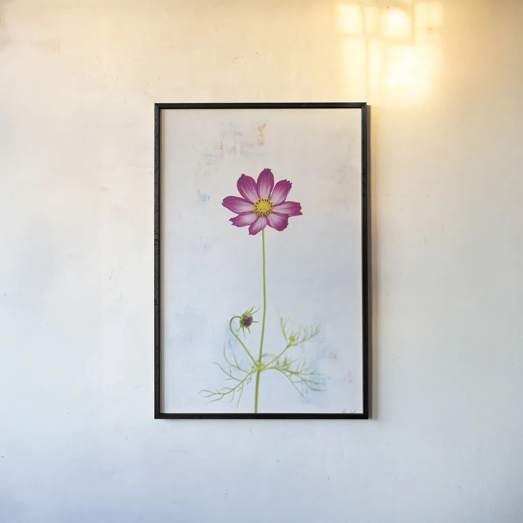 Wonderful Wildflowers XVI by Deborah Revell. shown as a paper print in a black flame. Available as a archival giclee rolled canvas, fine art paper, or poster print. SKU 93943h.