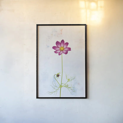 Wonderful Wildflowers XVI by Deborah Revell. shown as a paper print in a black flame. Available as a archival giclee rolled canvas, fine art paper, or poster print. SKU 93943h.