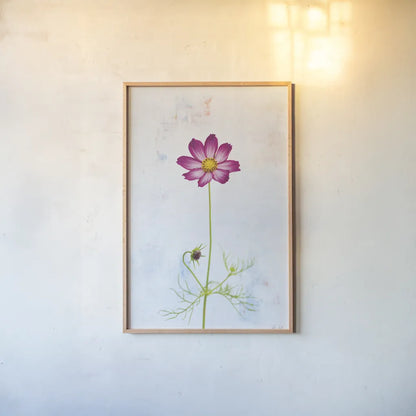 Wonderful Wildflowers XVI by Deborah Revell. shown as a paper print in a natural frame. Available as a archival giclee rolled canvas, fine art paper, or poster print. SKU 93943h.