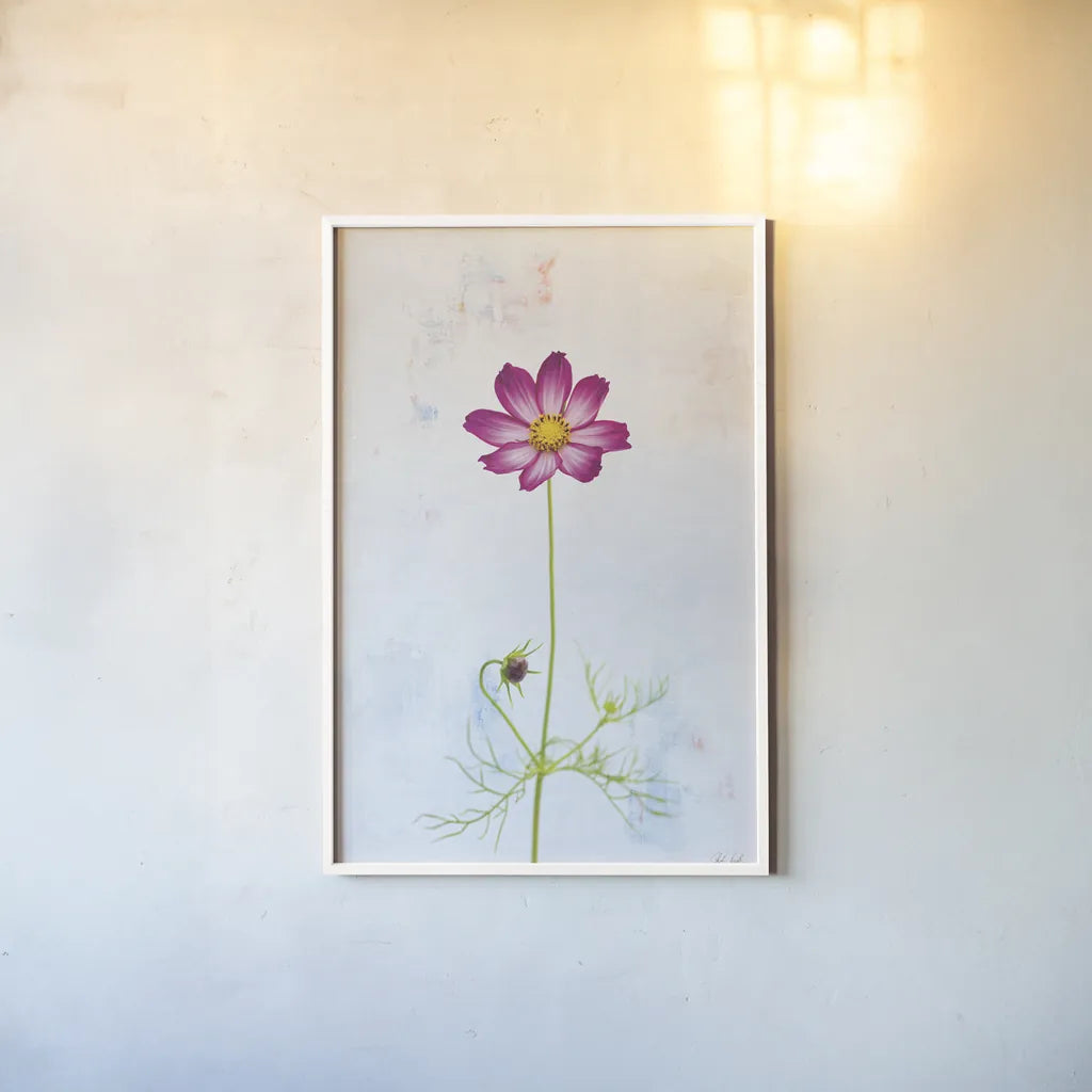 Wonderful Wildflowers XVI by Deborah Revell. shown as a paper print in a white frame. Available as a archival giclee rolled canvas, fine art paper, or poster print. SKU 93943h.