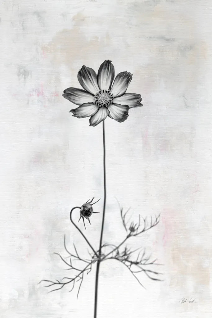 Wonderful Wildflowers XVI Neutral by Deborah Revell. SKU 93960h. Archival Giclee Fine art print for wall decor.