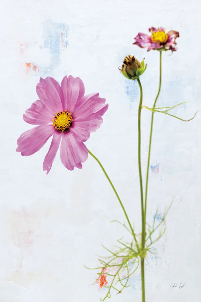 Wonderful Wildflowers XVII by Deborah Revell. SKU 93944h. Archival Giclee Fine art print for wall decor.