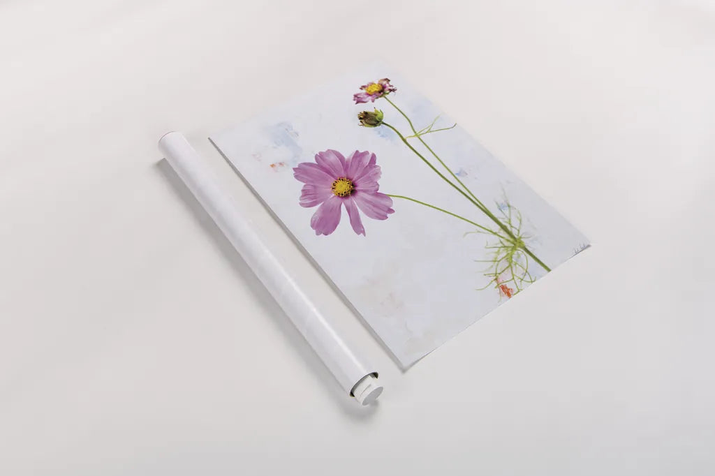 Wonderful Wildflowers XVII by Deborah Revell. shown as a rolled paper print. Available as archival giclee rolled canvas, fine art paper, or poster print. SKU 93944h.