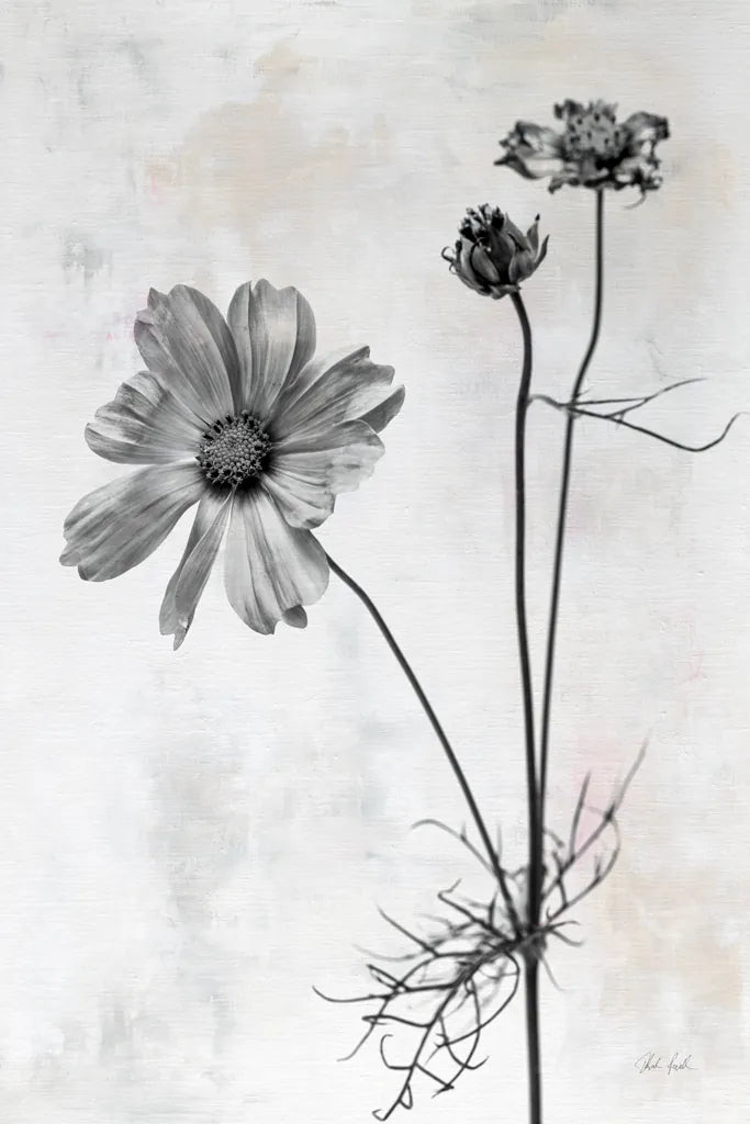 Wonderful Wildflowers XVII Neutral by Deborah Revell. SKU 93961h. Archival Giclee Fine art print for wall decor.