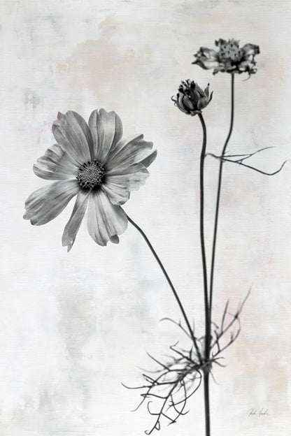 Wonderful Wildflowers XVII Neutral by Deborah Revell. SKU 93961h. Archival Giclee Fine art print for wall decor.