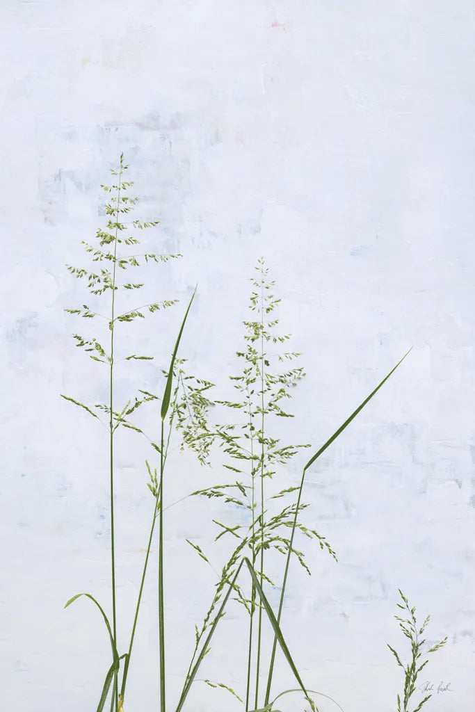 Yellow Oat Grass by Deborah Revell. SKU 93434h. Archival Giclee Fine art print for wall decor.