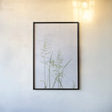 Yellow Oat Grass by Deborah Revell. shown as a paper print in a black flame. Available as a archival giclee rolled canvas, fine art paper, or poster print. SKU 93434h.