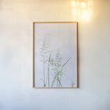 Yellow Oat Grass by Deborah Revell. shown as a paper print in a natural frame. Available as a archival giclee rolled canvas, fine art paper, or poster print. SKU 93434h.
