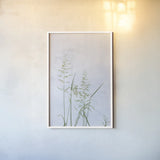 Yellow Oat Grass by Deborah Revell. shown as a paper print in a white frame. Available as a archival giclee rolled canvas, fine art paper, or poster print. SKU 93434h.
