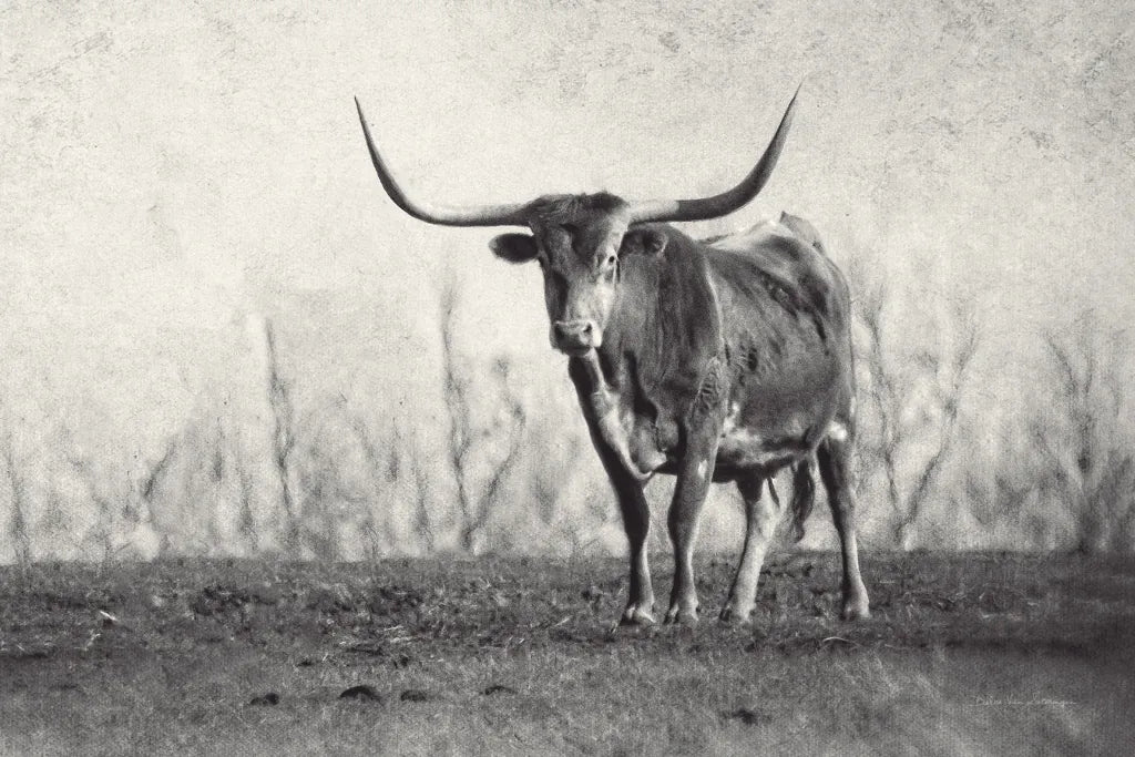 A Texas Longhorn by Debra Van Swearingen. SKU 81058i. Archival Giclee Fine art print for wall decor.