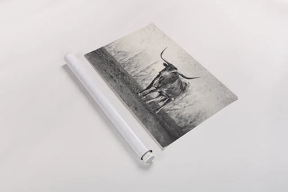 A Texas Longhorn by Debra Van Swearingen. shown as a rolled paper print. Available as archival giclee rolled canvas, fine art paper, or poster print. SKU 81058i.