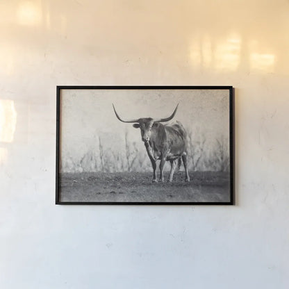 A Texas Longhorn by Debra Van Swearingen. shown as a paper print in a black flame. Available as a archival giclee rolled canvas, fine art paper, or poster print. SKU 81058i.